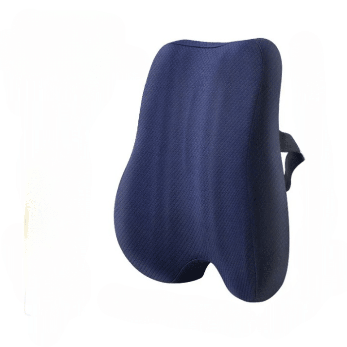 back_cushion_blue_cleanup