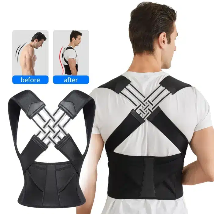 Ceinture dorsale 11