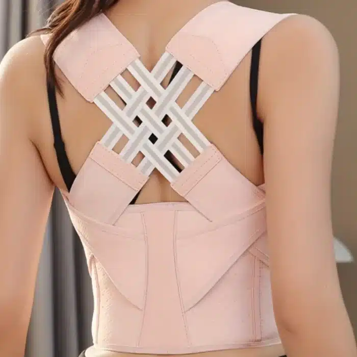 Ceinture dorsale 6