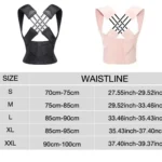 Ceinture dorsale 2