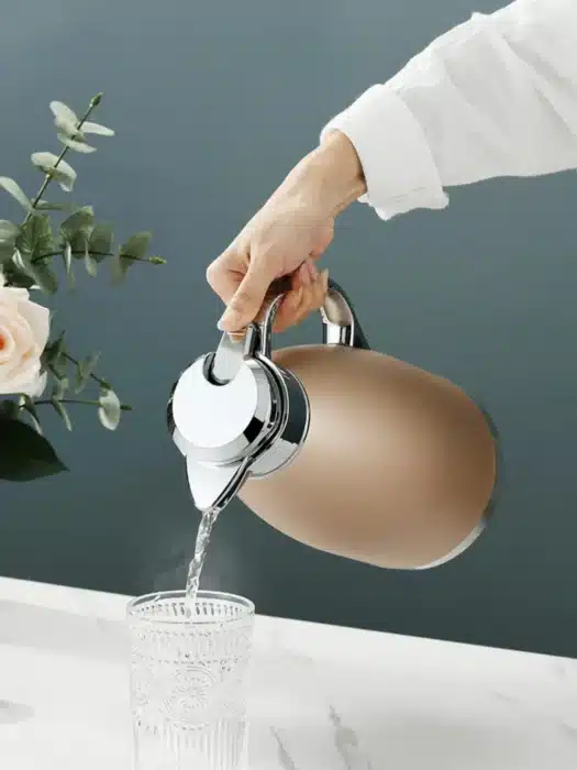 Thermos isotherme avec bec verseur 9