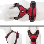 Harnais ergonomique chien 21