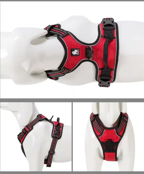 Harnais ergonomique chien 21