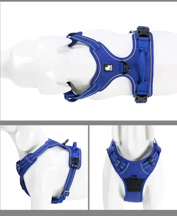 Harnais ergonomique chien 23