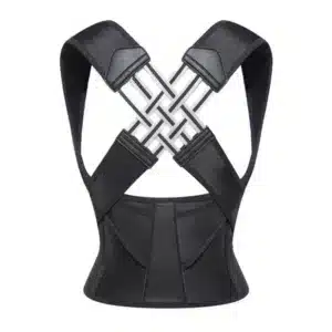 Ceinture dorsale 7