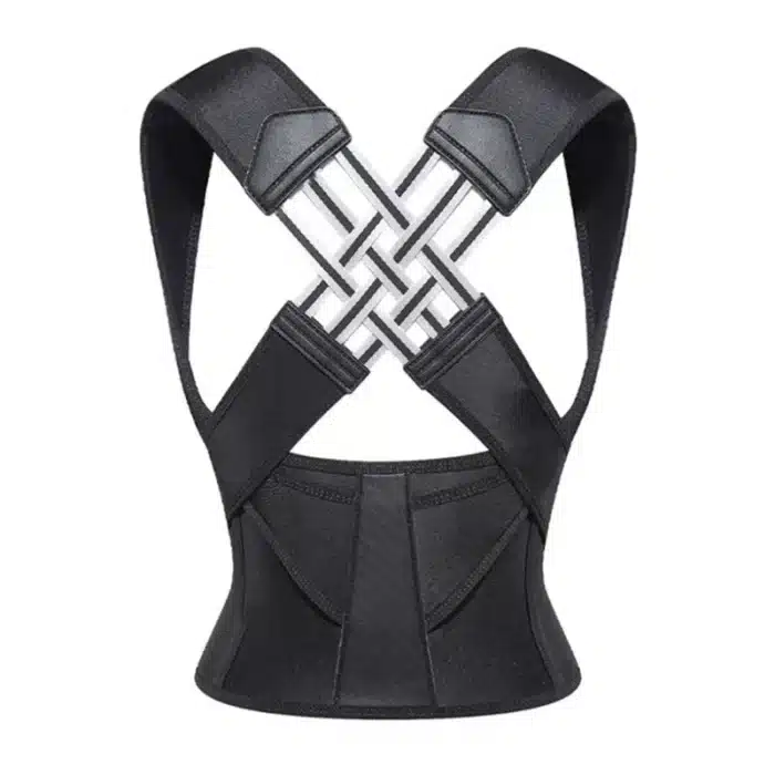 Ceinture dorsale 7