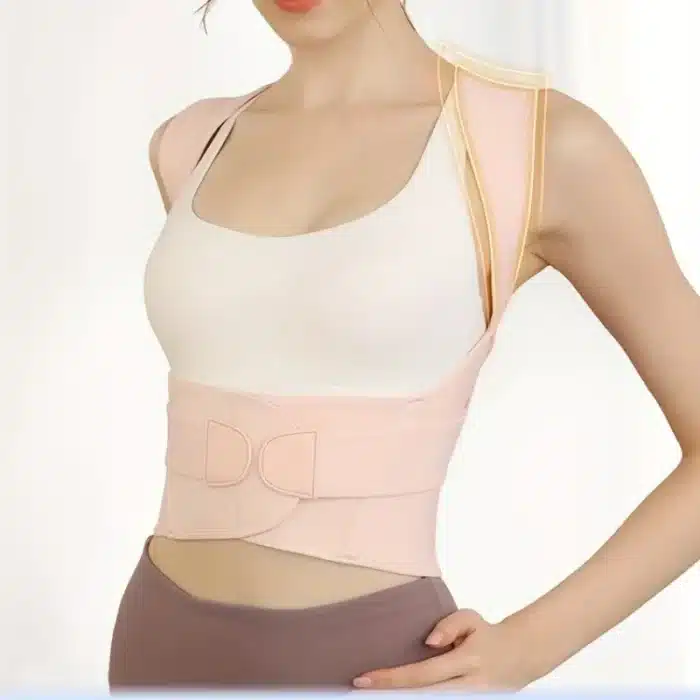 Ceinture dorsale 5