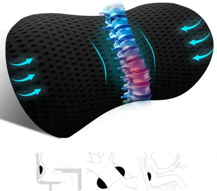 support lombaire voiture 1