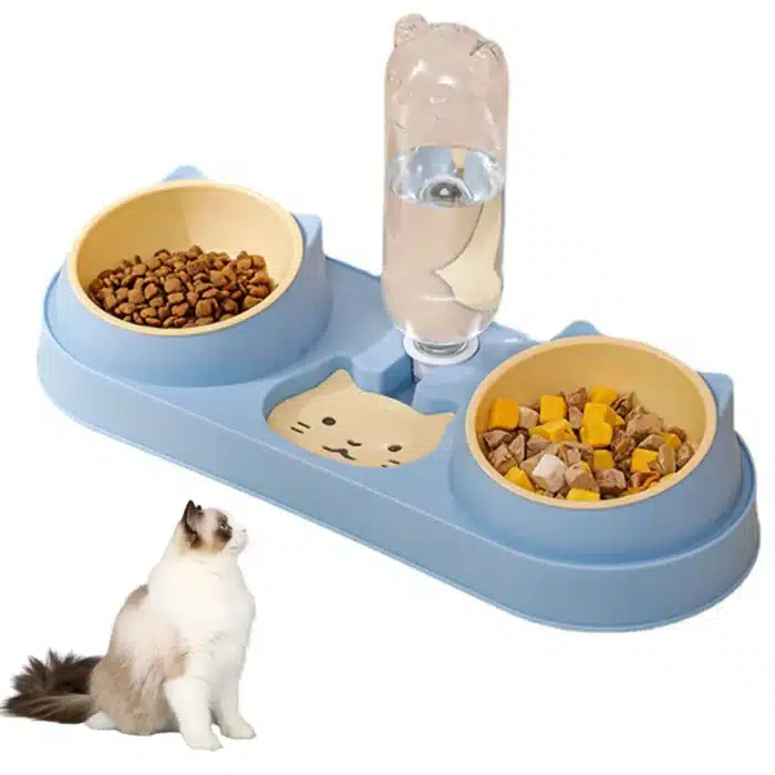 Bol ergonomique pour chat 6