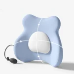 Soutien dorsal ergonomique 2