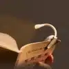 Lampe de lecture à pince