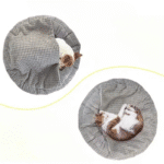 1_cleanup – 2026-01-11T121522.615_cleanup